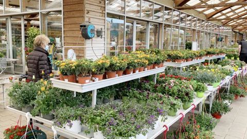 L’interprofession Val’hor et FranceAgriMer vont partager, ce 19 mai, les résultats d’une étude sur l’expérience d’achat et d’utilisation des Français en matière de végétaux. ©F. ARNOULD